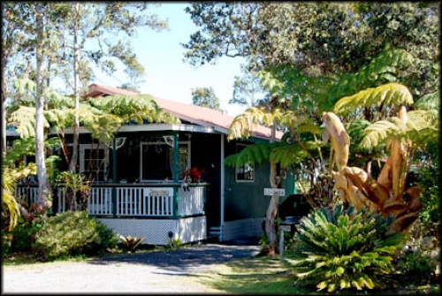 The Artist Cottage and Country Cottage and Hawaiin Experience