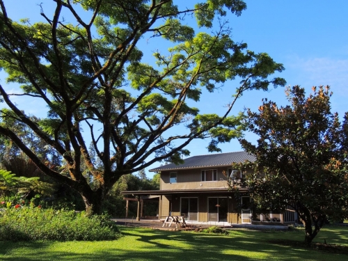 Bed and Breakfast Mountain View