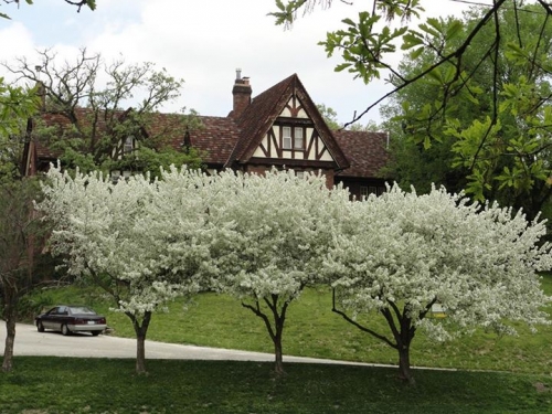 Butler House on Grand