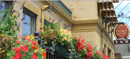  Lindsey Boutique Hotel Inn