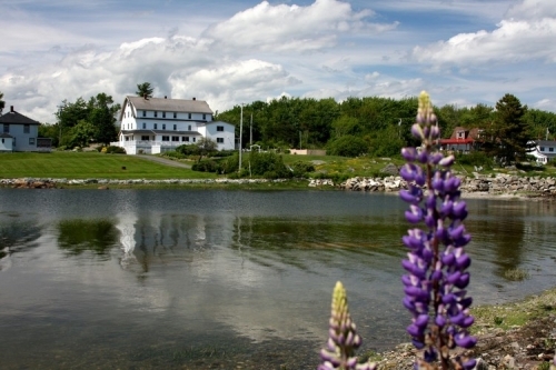Craignair Inn