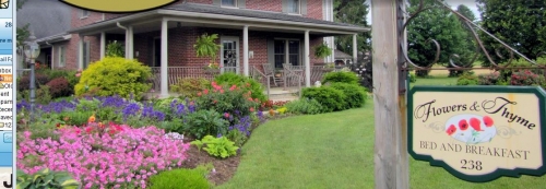 Flowers & Thyme Bed and Breakfast