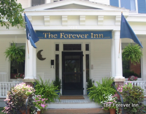 The Forever Inn The Forever Inn