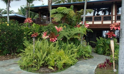 Hawaiian Oasis Bed and Breakfast