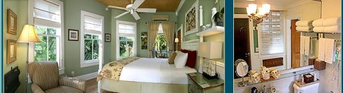 Mermaid and the Alligator